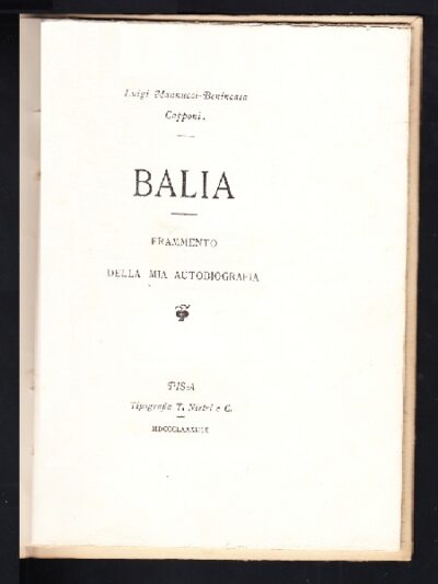 Nozze Niccoli - Birken