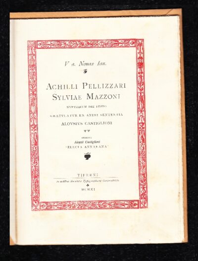 Nozze Pellizzari - Mazzoni - immagine 2