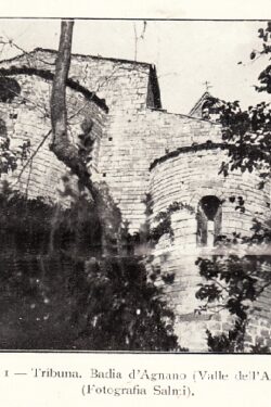 Chiese romaniche in Valdarno e Casentino