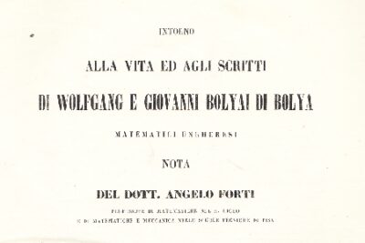 Intorno alla Vita ed agli scritti di Wolfgang e Giovanni Bolyai Di Bolya, Matematici Ungheresi