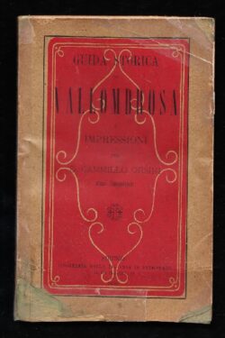 Guida Storica di Vallombrosa e impressioni