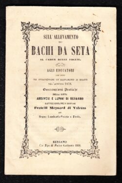 Sull'allevamento dei bachi da seta al cader delle foglie