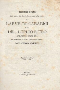 Descrizione e storia della vita e dei danni che arrecano alla canepa due Larve di Carabici e una del Lepidottero