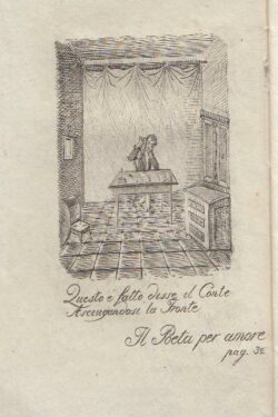 Il Poeta per amore. NOVELLA