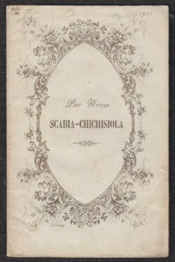 Nozze Scabia - Chichisiola. Il Carnevale di Venezia