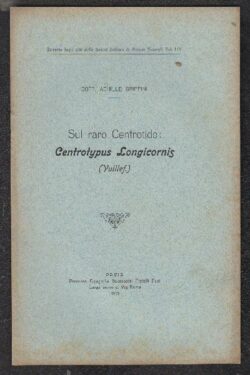 Sul raro Centrotide Centrotypus Longicornis