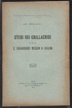 Studi sui Grillacridi del K. Zoologisches Museum di Berlino