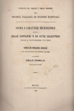 Sopra i Caratteri Microscopici offerti dalle Cantaridi e da altri Coleotteri + Descrizione di una nuova specie del genere FELIS