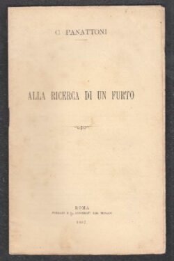 Alla Ricerca di un Furto