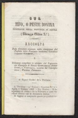Sul Tifo, o Peste Bovina dominante nella provincia di Aquila