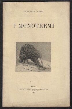 I Monotremi