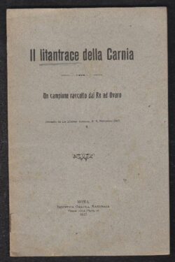 Il Litantrace della Carnia. Un campione raccolto dal Re ad Ovaro