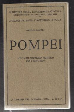 Pompei. I nuovi scavi e la villa dei misteri